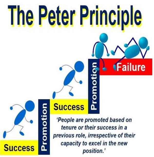 the-peter-principle.jpg